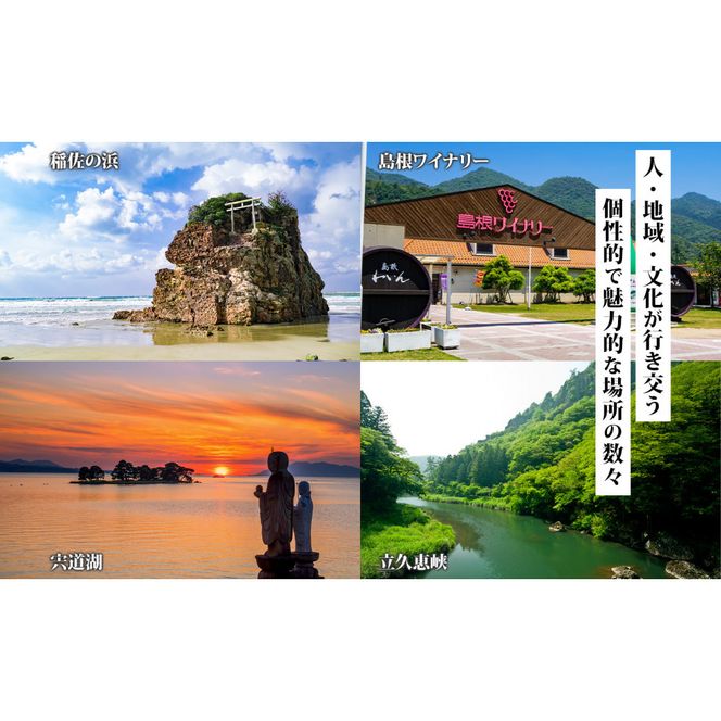 島根県 出雲市 後から選べる！ 旅行クーポン（60,000円分） 旅行券 宿泊券 322032_EV001