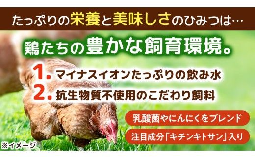 キトサン 健康 たまご 80個入 赤玉 卵 タマゴ 鶏卵 鶏 卵かけごはん ゆで卵 赤たまご 国産 茨城県 玉子 [EE001us]