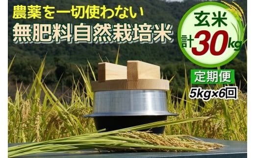 米 定期便 令和6年産 自然栽培米 にこまる ＜農薬を一切使わない無肥料栽培＞ 玄米 5kg×6ヶ月 30kg 《新米 京都丹波産 無農薬米栽培向き 厳選品種 6回お届け》