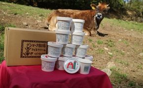 デンマーク牧場のアイスクリーム 12個セット（ミルク味）人気 厳選 袋井市 スイーツ ひんやり 冷たい デザート 食後 おやつ 牧場アイス 子供 ミルクアイス 