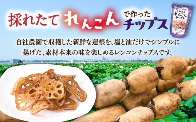 蓮根チップス 30g×5P 【清水食品株式会社】 れんこんチップ 野菜 愛知県産 野菜 産地直送 愛西市 /  清水食品株式会社[AEAJ003]