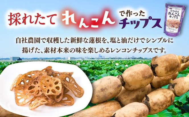 蓮根チップス 30g×5P 【清水食品株式会社】 れんこんチップ 野菜 愛知県産 野菜 産地直送 愛西市/ 清水食品株式会社[AEAJ003]