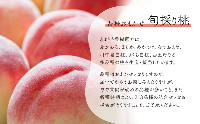 旬採り桃(品種おまかせ) 上級品 5-7玉 (岡山県産) / もも 桃 モモ 先行予約 フルーツ 果物 真庭市 フルーツ王国 きよとう果樹園 岡山 【KF-A002-04】