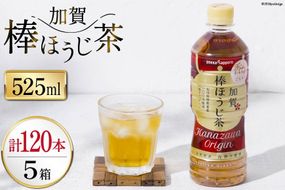 お茶 ペットボトル 加賀 棒ほうじ茶 525ml 24本 5箱 計120本 [油谷製茶 石川県 宝達志水町 38601030] ほうじ茶 おちゃ 茶 ちゃ ２４本 500ml 以上 飲料 ドリンク ソフトドリンク 常温 保存 備蓄 常備品 災害 非常用