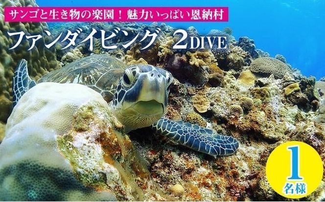 サンゴと生き物の楽園！魅力いっぱい恩納村ファンダイビング（2DIVE）1名様