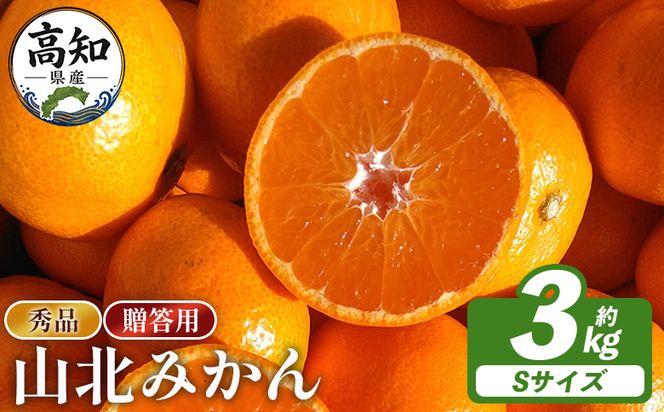 【贈答用】山北みかんSサイズ限定 3.0kg sq-0005