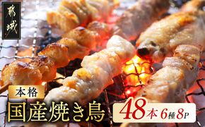 職人串打ちの本格焼き鳥48本!!_12-33-014-48