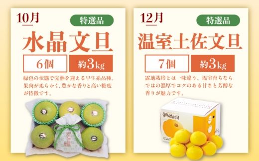 【6回定期便】文旦＆小夏バラエティ定期便 土佐の柑橘フルコース〈水晶文旦・温室文旦・土佐文旦・甘熟とさ小夏・土佐小夏〉/ 文旦 ぶんたん ブンタン 土佐文旦 水晶文旦 温室文旦 柑橘 フルーツ 果物 くだもの 定期便【白木果樹園】 [BQAI062]