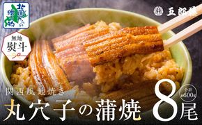 010B1612-1 【無地熨斗】老舗五郎藤の味付け 丸穴子 2尾×4パック 計8尾（8人前）小分けパック 計600g前後 ペルー産 マルアナゴ まるあなご