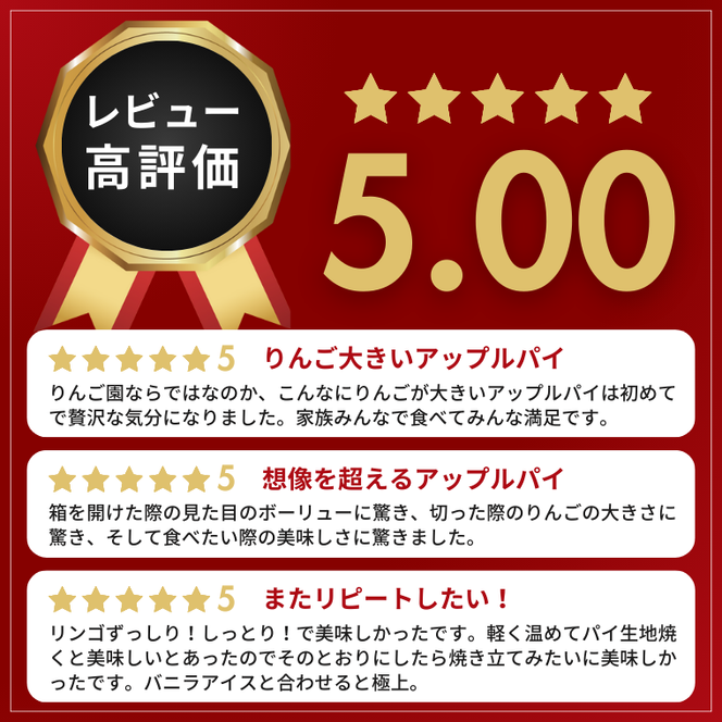 【藤田観光りんご園】りんご園で焼いた贅沢アップルパイ（ホールサイズ）｜茨城県 大子町 お菓子 洋菓子 焼菓子 スイーツ 林檎 りんごパイ お祝い 贈り物 ギフト プレゼント 贈答(BJ001)