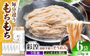 【田中製麺】彩湟（さいこう）全粒麺 ノンオイル製法 島原手延べそうめん 万能麺 170g×6袋 / 純国産 乾麺 パスタ 素麺 / 南島原市 / 贅沢宝庫[SDZ040]