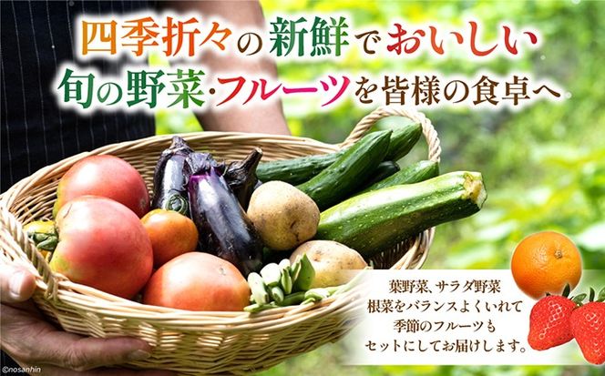 【12回定期便】　「旬の野菜・フルーツ」 詰め合わせ セット（13品〜15品）/ 野菜 定期便 やさい 定期便 野菜セット やさいセット 春野菜 夏野菜 秋野菜 冬野菜 旬新鮮 / 南島原市 /長崎県農産品流通合同会社[SCB093]