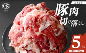 志布志産豚肉切り落とし 計5kg(500g×10P)  a6-079