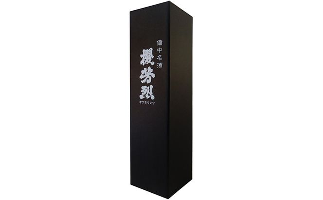 櫻芳烈 本醸造「備中松山城」と生原酒「有漢」（720ml×2本） 日本酒 お酒 アルコール 