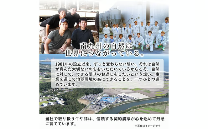 鹿児島県産黒毛和牛肩ローススライス (計700g・350g×2P) a4-113