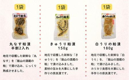 信州の味　野沢菜と漬物セット9種類11袋(Bl-002)