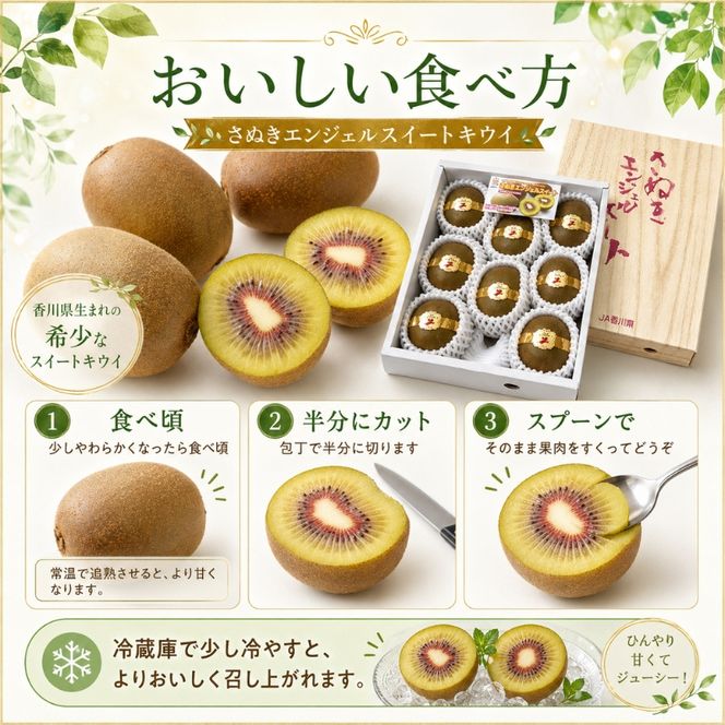 【 小豆島 】 さぬきエンジェル スイートキウイ 約1kg 化粧箱 フルーツ 果物 キウイ キウイフルーツ さぬき くだもの 国産 香川 香川県 土庄 土庄町