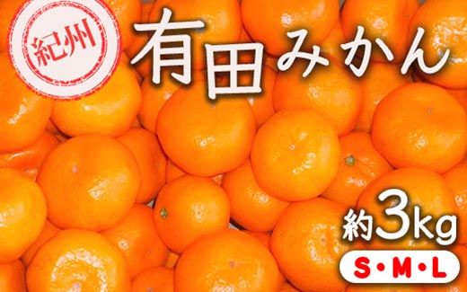 【先行予約】【秀品】有田みかん 約3kg（L・M・Sサイズ おまかせ）和歌山県産 ｜みかん ミカン 和歌山 由良 フルーツ 果物 柑橘 和歌山県産 お取り寄せ 人気 