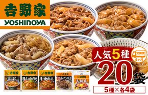 【定期便 4ヶ月】吉野家 人気５種２０袋バラエティセット（冷凍） 牛丼 レトルト 非常食 防災食 お楽しみ 新潟