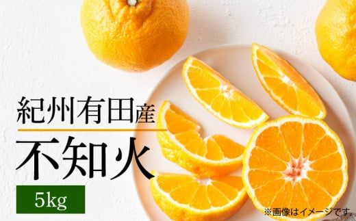 G7356_【2027年先行予約】不知火 5kg デコポン 柑橘の王様 甘い プリプリ ジューシー 濃厚 フルーツ 果実 果物 柑橘 紀州有田産 国産 食品 食べ物 お取り寄せ 魚鶴商店 和歌山県 湯浅町 送料無料