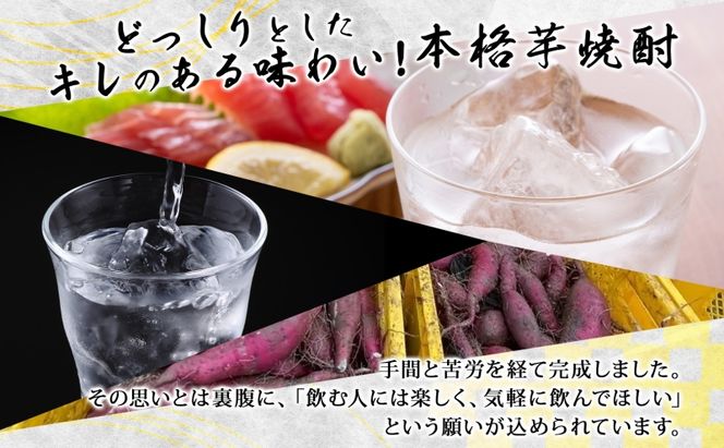  本格 芋焼酎 腰折れ 36度 700ml×2本 セット 瓶 山口智充 ぐっさん 直筆 ラベル 化粧箱入り 焼酎 芋焼酎 芋 紅はるか お酒 酒 アルコール 焼酎ハイボール 黒麹 晩酌 糖質ゼロ プリン体ゼロ こしおれ お取り寄せ 送料無料 紫屋 岐阜県 美濃市