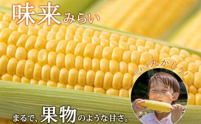 【 2026年 発送 】 北海道産 とうもろこし 味来 計24本 L-2L サイズ混合 大きめ みらい 旬 朝採り 新鮮 トウモロコシ 甘い 夏野菜 とうきび お取り寄せ 産地直送 野菜 しりべしや 送料無料 