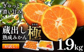 ＼お試し規格╱【極】蔵出し熟成みかん 〜甘さ極まる冬の贅沢〜 蔵出し熟成みかん『極』 1箱 1.9kg《2月中旬-2月下旬頃出荷》みかん ミカン 蜜柑 mikan 貯蔵 柑橘 佐那河内 さなごうち 徳島県 箱入り 化粧箱 S M L フルーツ 果物 くだもの 贈答 進物---sanagouchi_lcl_76_1900g---