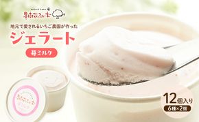 ジェラート いちごミルク 12個 アイス アイスクリーム スイーツ お菓子 菓子 おやつ いちごみるく いちご 苺 ミルク 兵庫県 加西市