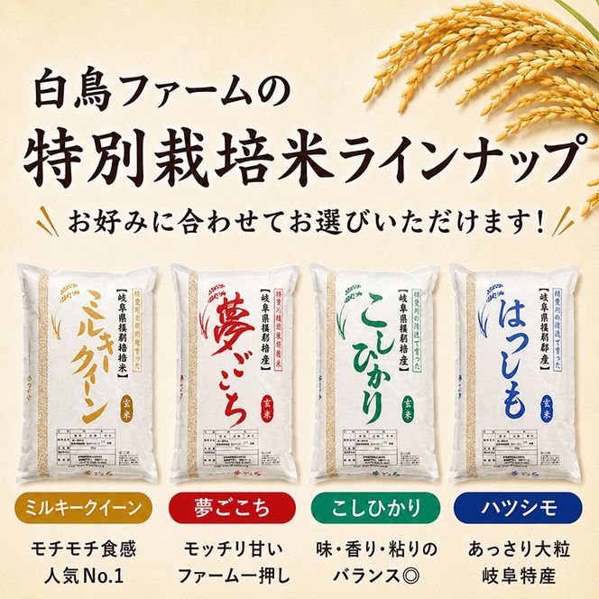 【令和7年産】特別栽培米 10kg【白米、7分ツキ】（コシヒカリ）