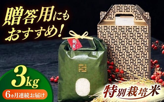 【全6回定期便】 とくべつ の中の とくべつ  特別栽培米 夢つくし 3kg 【築上町】 / itoshimacco / 株式会社やました[ABEX003]