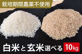 BI-61　【2026年9月下旬より順次発送】★栽培期間農薬不使用★こしひかり 10kg（白米または玄米）