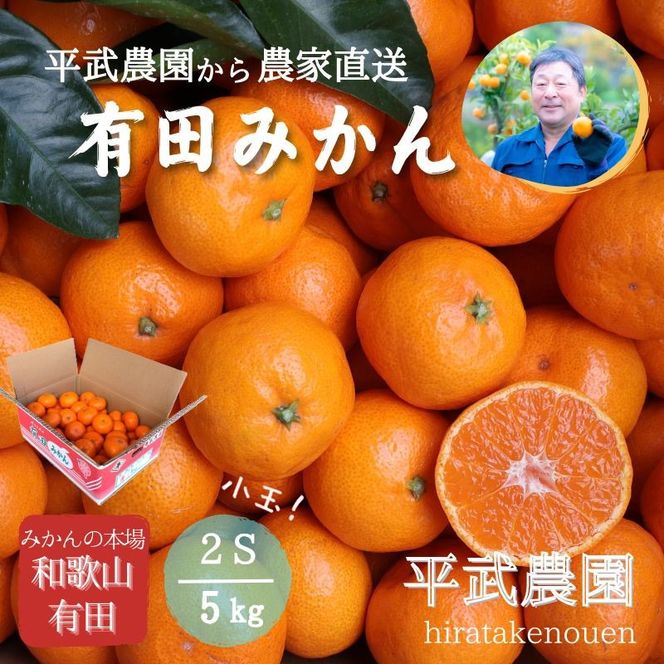 農家直送！有田みかん（5kg 2Sサイズ（小玉）秀品）平武農園　～蛍飛ぶ町から旬の便り～  	BX33