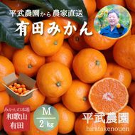 農家直送！有田みかん（2kg Mサイズ 秀品）平武農園　～蛍飛ぶ町から旬の便り～  	BX118