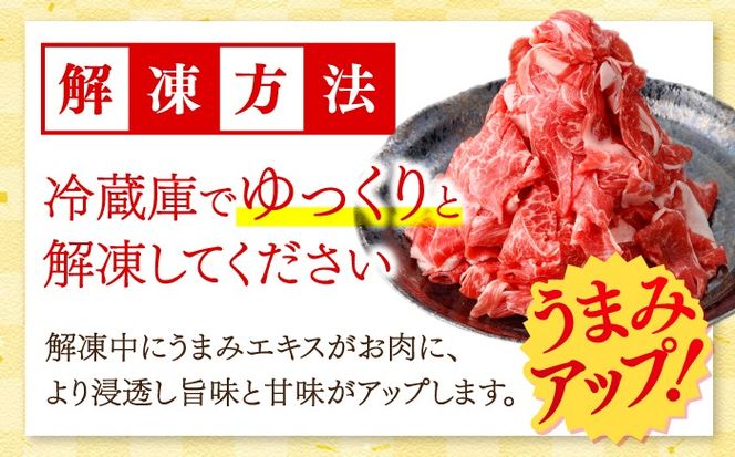 【2026年1月～順次発送】国産 黒毛和牛 熟成肉 切り落とし計1kg（500g×2パック）/ 小分け 国産牛 お肉 牛肉 切落し 冷凍 焼肉 すき焼き / 南島原市 / ふるさと企画[SBA093]