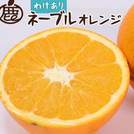 ＜2月より発送＞家庭用 ネーブルオレンジ1kg+250g（傷み補償分）｜訳あり・わけあり【光センサー選別】