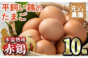 ＜氷温熟成＞平飼い赤鶏のたまご 黄嬉 (計10個) 元さん農園 卵 玉子 卵かけご飯 玉子焼き 平飼い 鶏 鶏卵 養鶏場直送 朝採れ 新鮮 大分県 佐伯市 【GE007】【 (株)海九】