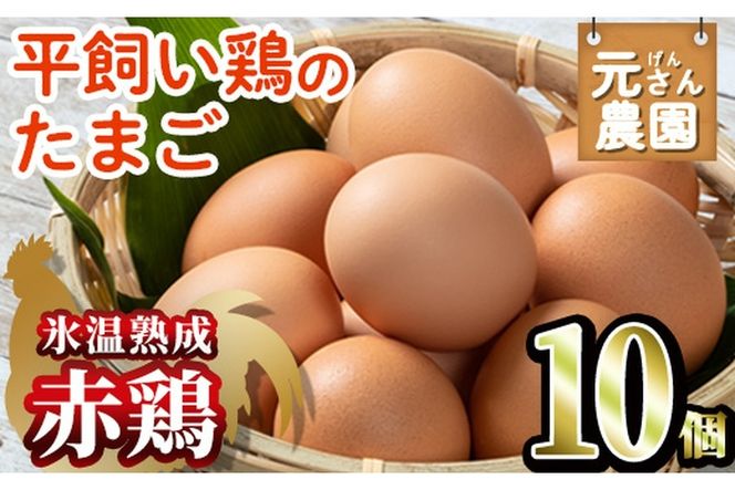 ＜氷温熟成＞平飼い赤鶏のたまご 黄嬉 (計10個) 元さん農園 卵 玉子 卵かけご飯 玉子焼き 平飼い 鶏 鶏卵 養鶏場直送 朝採れ 新鮮 大分県 佐伯市 【GE007】【 (株)海九】