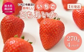 【先行予約】いちご市 鹿沼の美味しい「い」「ち」「ご」とちあいか 1箱4パック入り（1パック270g×4）（1月発送） ｜ イチゴ フルーツ 果物 甘い うまい 日本一 品質 ビタミンC かぬま ※沖縄・離島への配送不可 ※2026年1月上旬～1月下旬頃に順次発送予定