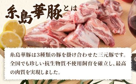 【全6回定期便】【 バーベキュー ・ 煮込み用 】約2.4kg 糸島華豚 スペアリブ 糸島市 / 糸島ミートデリ工房 [ACA333]