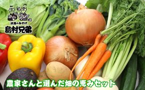 農家さんと選んだ畑の恵みセット　野菜詰め合わせ