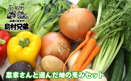 農家さんと選んだ畑の恵みセット　野菜詰め合わせ