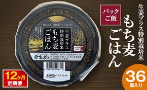 パックご飯 生姜プラス特別栽培米 もち麦ごはん 36個入り 12ヶ月定期便 静岡県 袋井