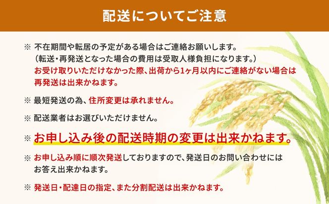 期間限定!! 【最短2日後7日以内発送】【令和7年産/白米】 こしひかり 5kg 茨城県産 米 小分け 2025年産 K2670