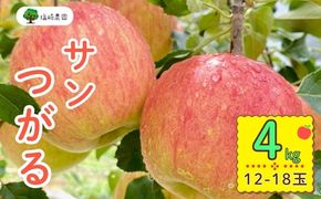 【先行予約丨2026年9月上旬より順次発送】サンつがる【約4kg(12〜20玉)】(At-004)丨長野県 飯山市 おすすめ ランキング おいしい 高評価 大人気 先取り 産地直送 りんご