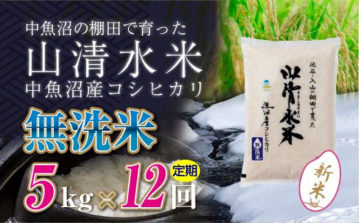【令和8年産 新米】 【定期便／全12回】無洗米5kg　新潟県魚沼産コシヒカリ「山清水米」十日町市 米