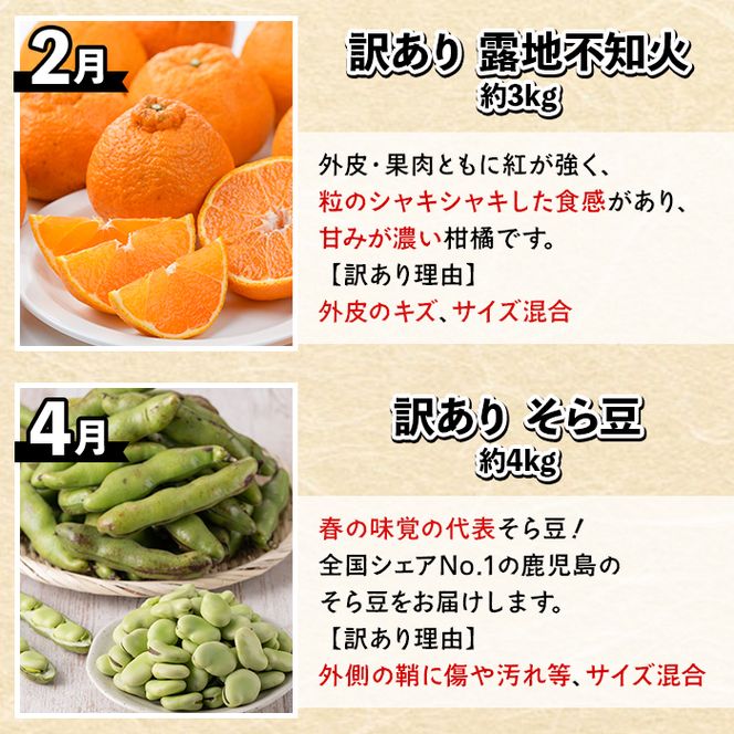 ＜定期便・全6回(偶数月)＞阿久根旬のごちそう定期便(ぼんたん・露地不知火・そら豆・南国グリーンメロン・大玉スイカ・伊勢海老) 国産 フルーツ 果物 柑橘 野菜 豆類 魚介 ボンタン 文旦 そらまめ すいか えび エビ 季節 訳あり 【松永青果】akn053-50