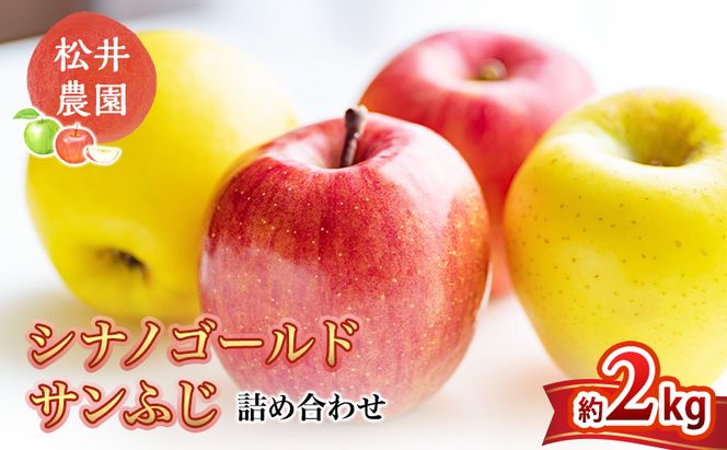 りんご サンふじ シナノゴールド 詰め合わせ 約2kg フルーツ 果物 甘い 林檎 セット