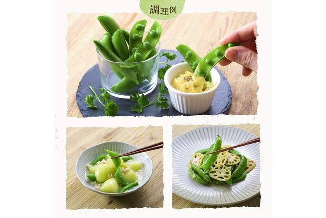 ＜先行予約受付中！2026年2月下旬～4月上旬の間に発送予定＞＜期間限定＞ミニトマト(約1.5kg)とスナップエンドウ(約1kg)野菜 とまと えんどう豆 フルーツトマト サンチェリーピュア ダルタリー アイコ サラダ【GF-3】【グーファーム】