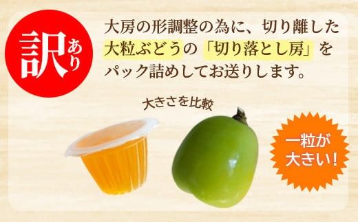 【ちょっと訳あり】大粒シャインマスカット パック詰め 約800g (約400g×2パック) 《田子農園》産直 新鮮 秋の行楽 デザート■2025年発送■※9月上旬頃～11月上旬頃まで順次発送予定