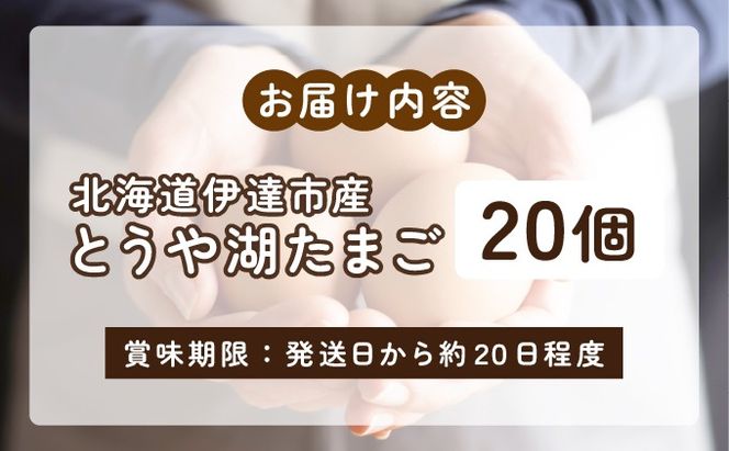北海道 伊達市 とうや湖 卵  20個 入り たまご